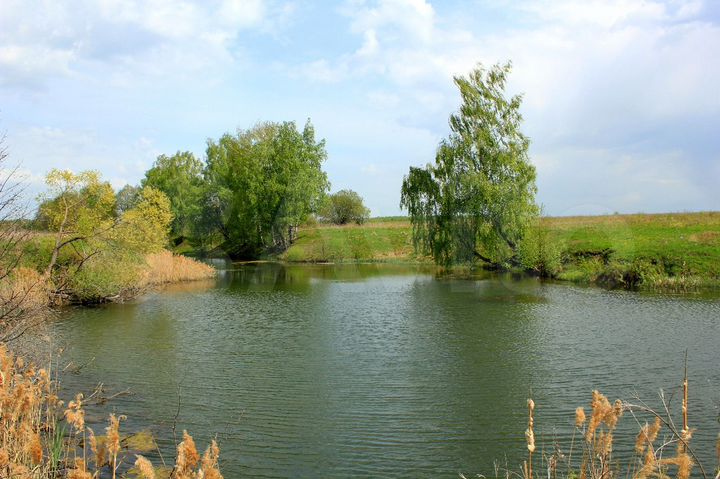 Участок 16,2 га (промназначения)