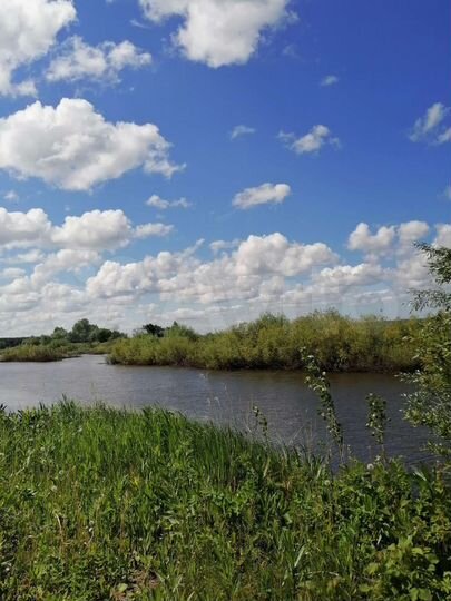 Участок 9 сот. (СНТ, ДНП)