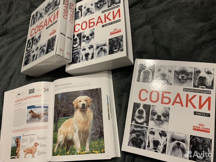 Энциклопедия Породы собак