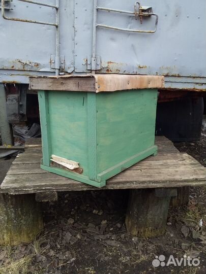 Ловушка для пчел