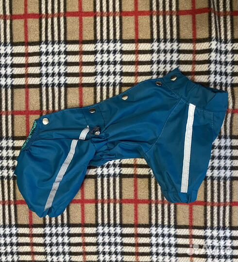 Комбинезон (зимний, весенний) для шпица (кобель)