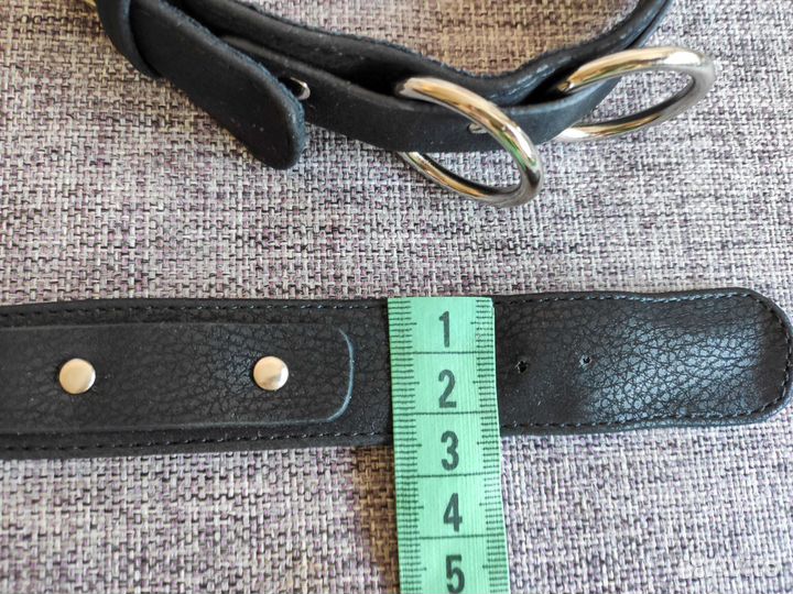 Ошейник для собак мелких пород