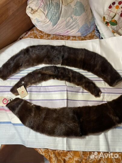 Шкурка животного