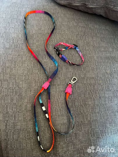 Ошейник и поводок для маленьких пород собак