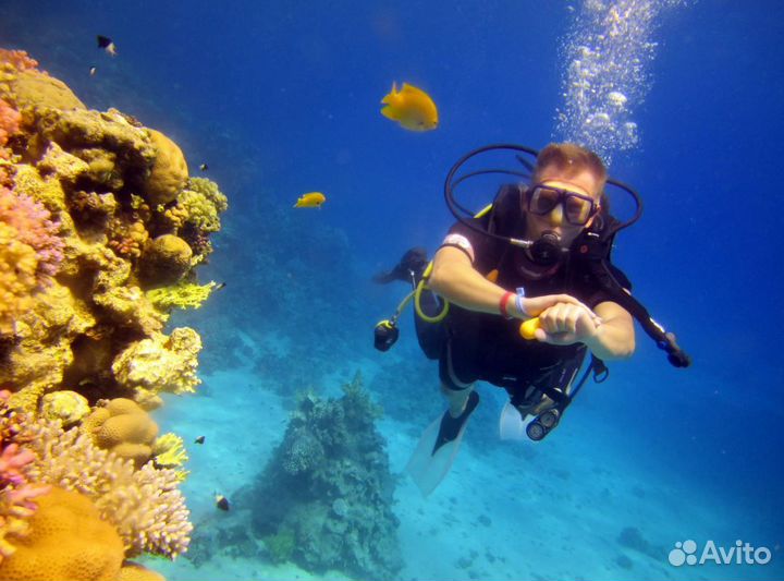 Путешествие в Шарм-Эш-Шейх 6 н все вкл-но