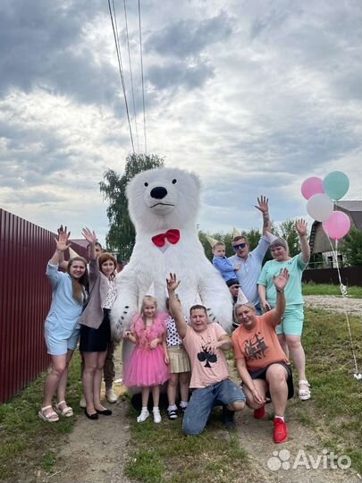 Говорящий Белый мишка + геливые шары поздравление