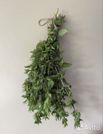 Мята свежая и сушеная