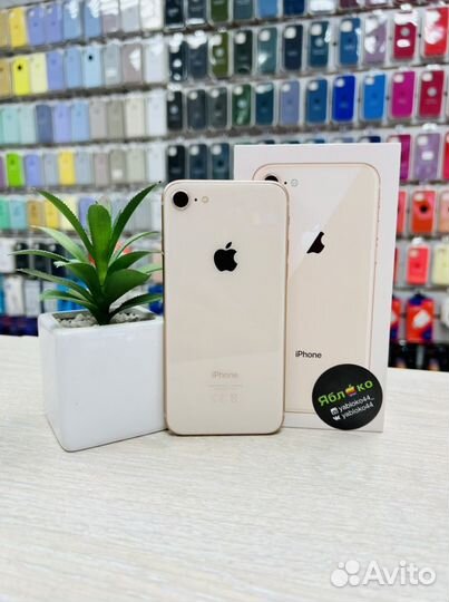 iPhone 8, 64 ГБ