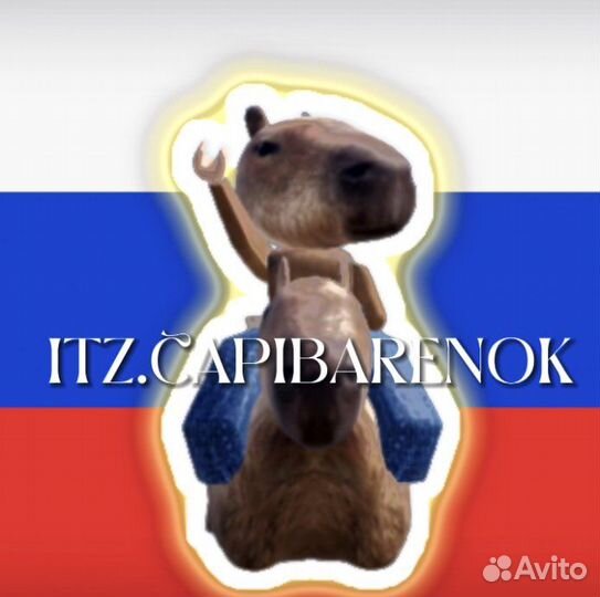 Позинг роблокс