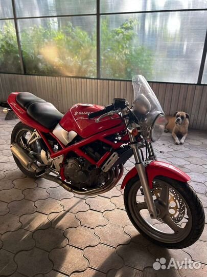 Suzuki bandit