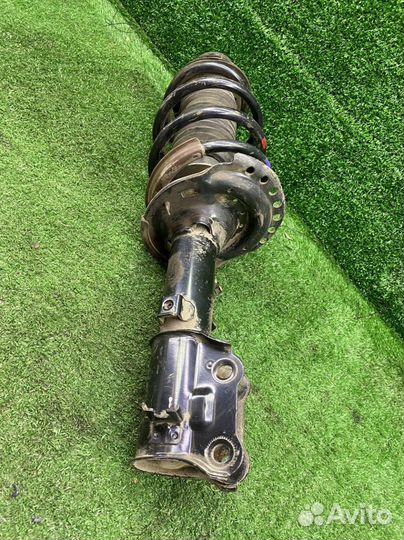 Амортизатор передний правый Hyundai Solaris 6241