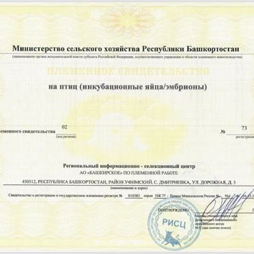 Инкубационное яйцо утки