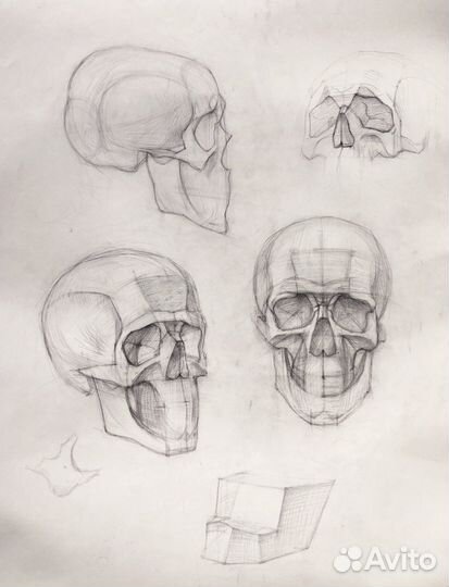 Академический рисунок