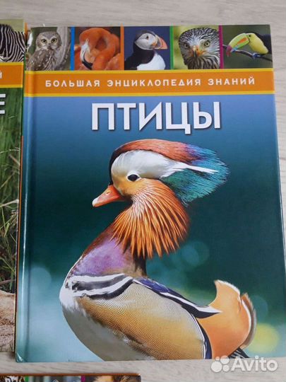 Большая энциклопедия знаний