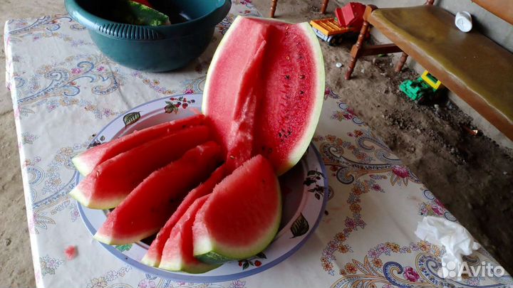 Арбуз оптом