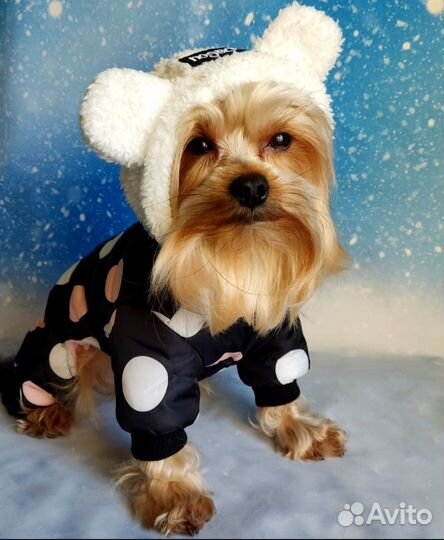 Зимний комбинезон для собак