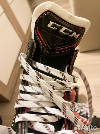 Коньки хоккейные CCM Jetspeed