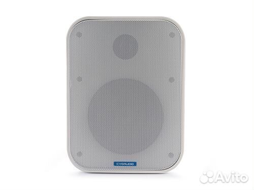 Акустическая система cvgaudio OSR508TW