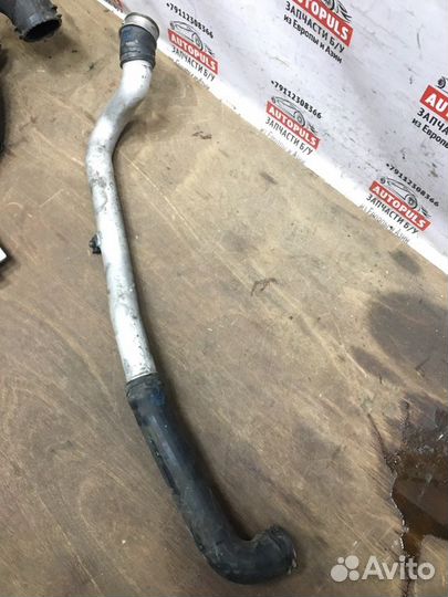 Патрубок интеркулера Volkswagen Phaeton