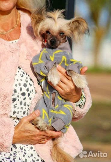 Самый маленький производитель