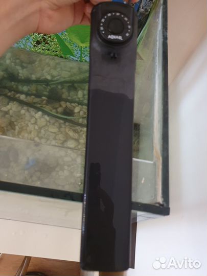 Стильный современный аквариум с хищными пираньями