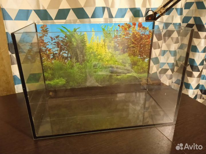 Аквариум