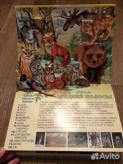 Книга-панорамка
