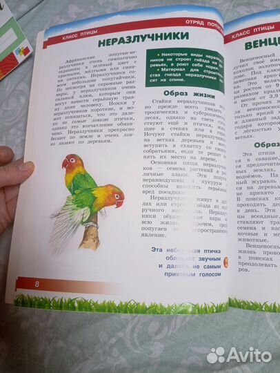 Детская энциклопедия