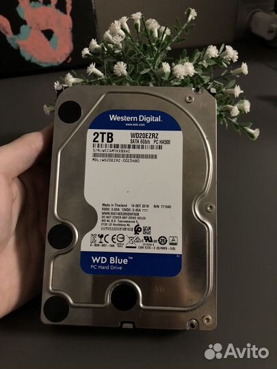 WD blue 2TB 7200