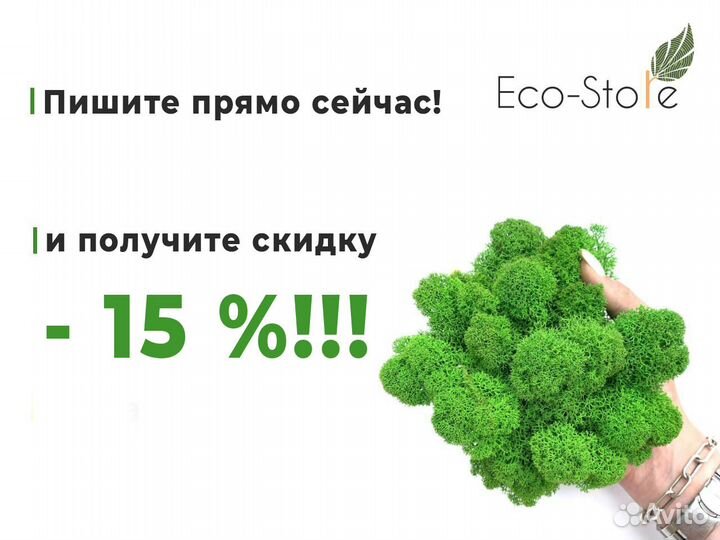 Картина из мха квадратная