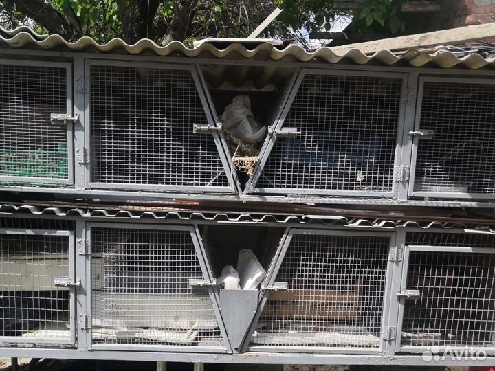 Клетка для кролика большая