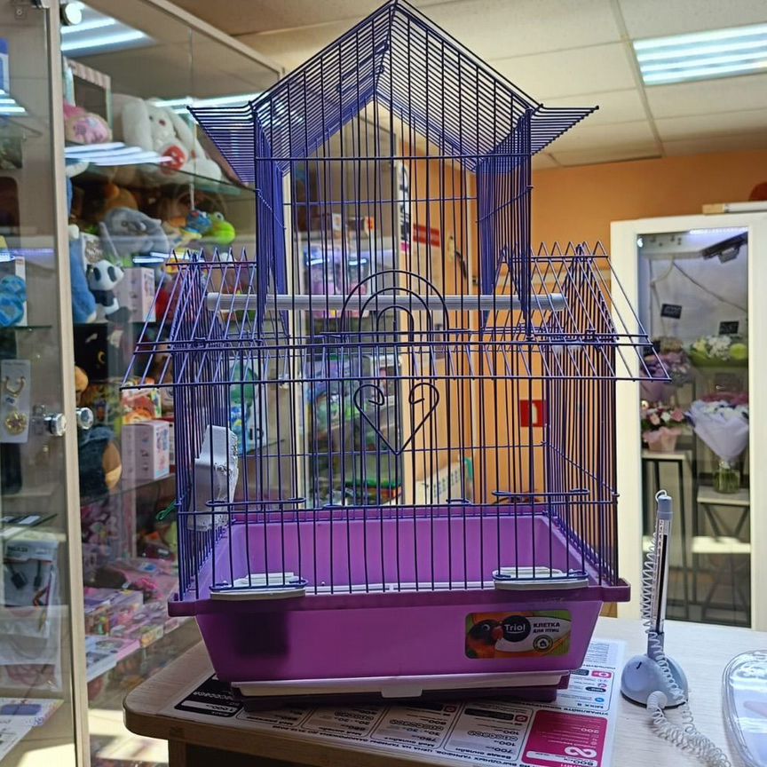 Arman porno Angela Sarkisyan