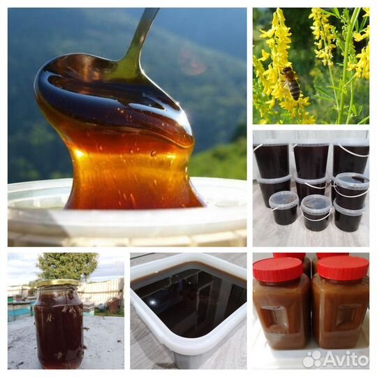 Мед с Алтая