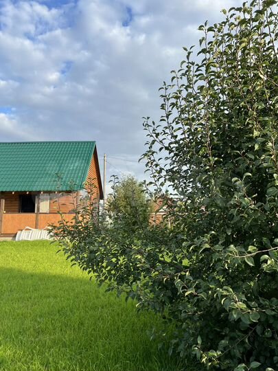 Дача 40 м² на участке 5,9 сот.