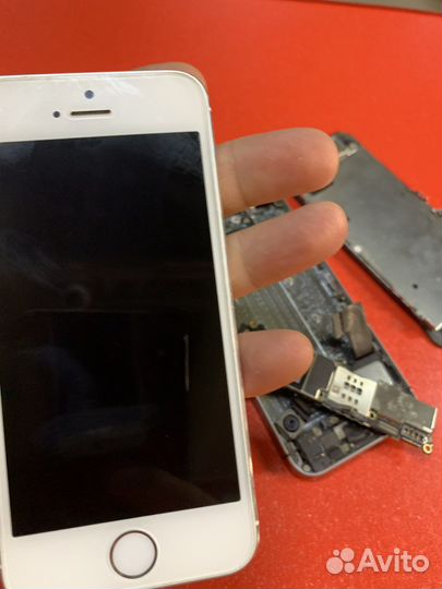 Iphone5 s
