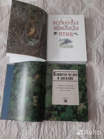 Книги,Энциклопедия собаки, птици