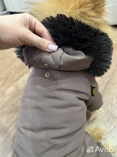 Зимний комбинезон для маленькой собаки