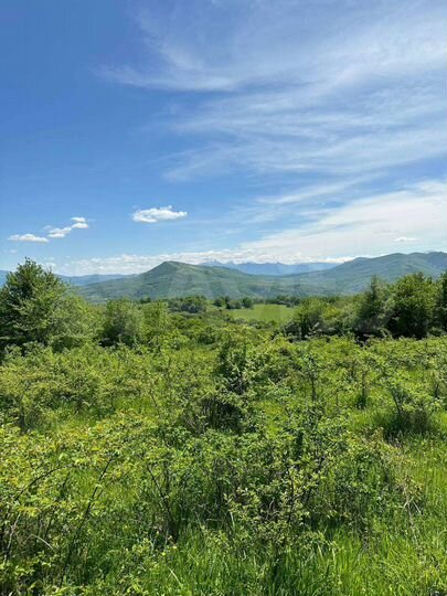 Участок 3 га (ИЖС)