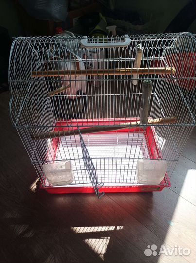 Клетка для попугая