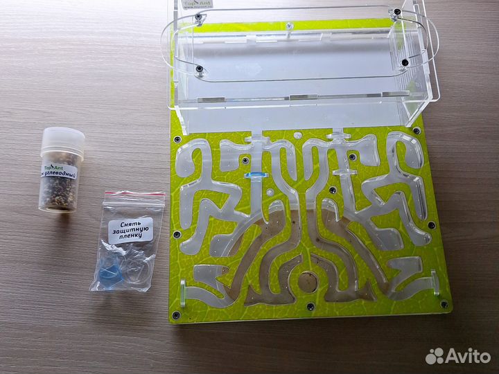 Муравьиная ферма большая