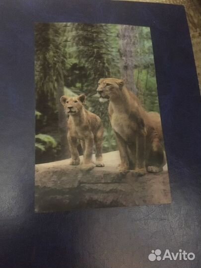 Советские открытки и календарики