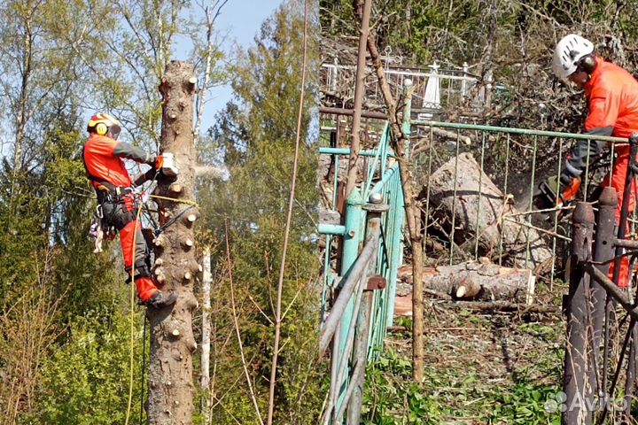 Обрезка Спил Удаление деревьев любой сложности