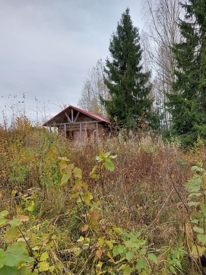 Участок 10 сот. (СНТ, ДНП)