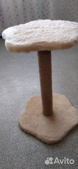 Когтеточка