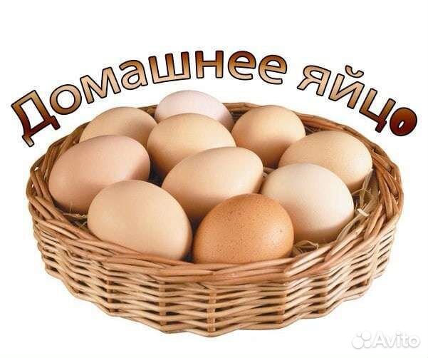 Домашние куриные яйца