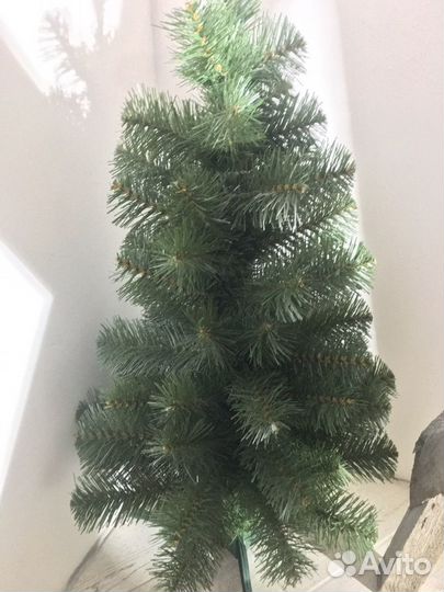 Ель,Царь елка»