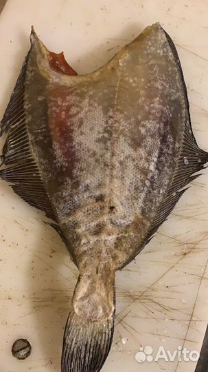 Ёрш вяленый, филе ерша