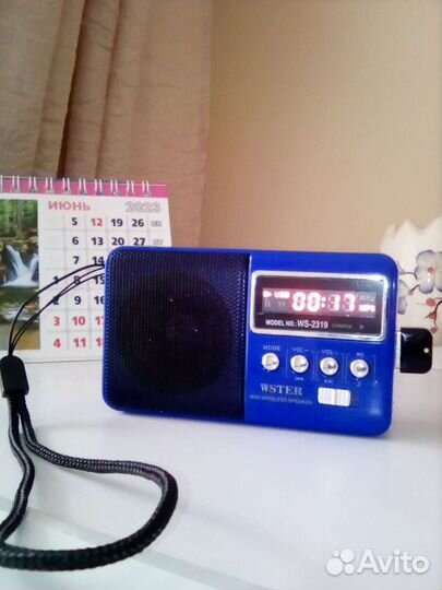 Wster WS-2319 USB, FM