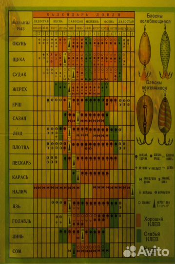 Рыболовный