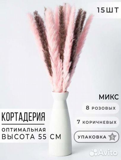 Сухоцветы букет, Пампасная трава